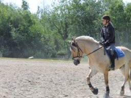 img_3501_web